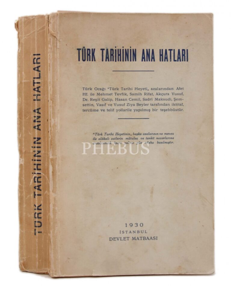 Atatürk Türk Tarih Tezi Literatürü